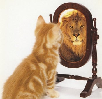 Selbstbild